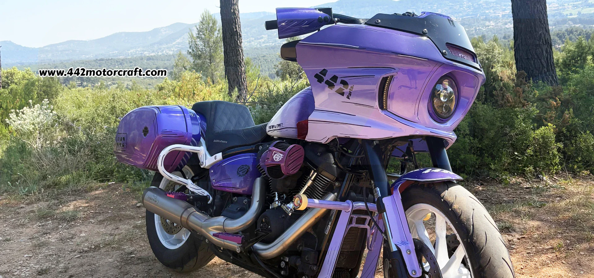 L'Excellence Harley-Davidson en Ligne
